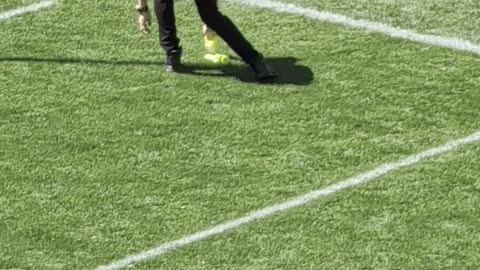 Adult Toy In The Endzone