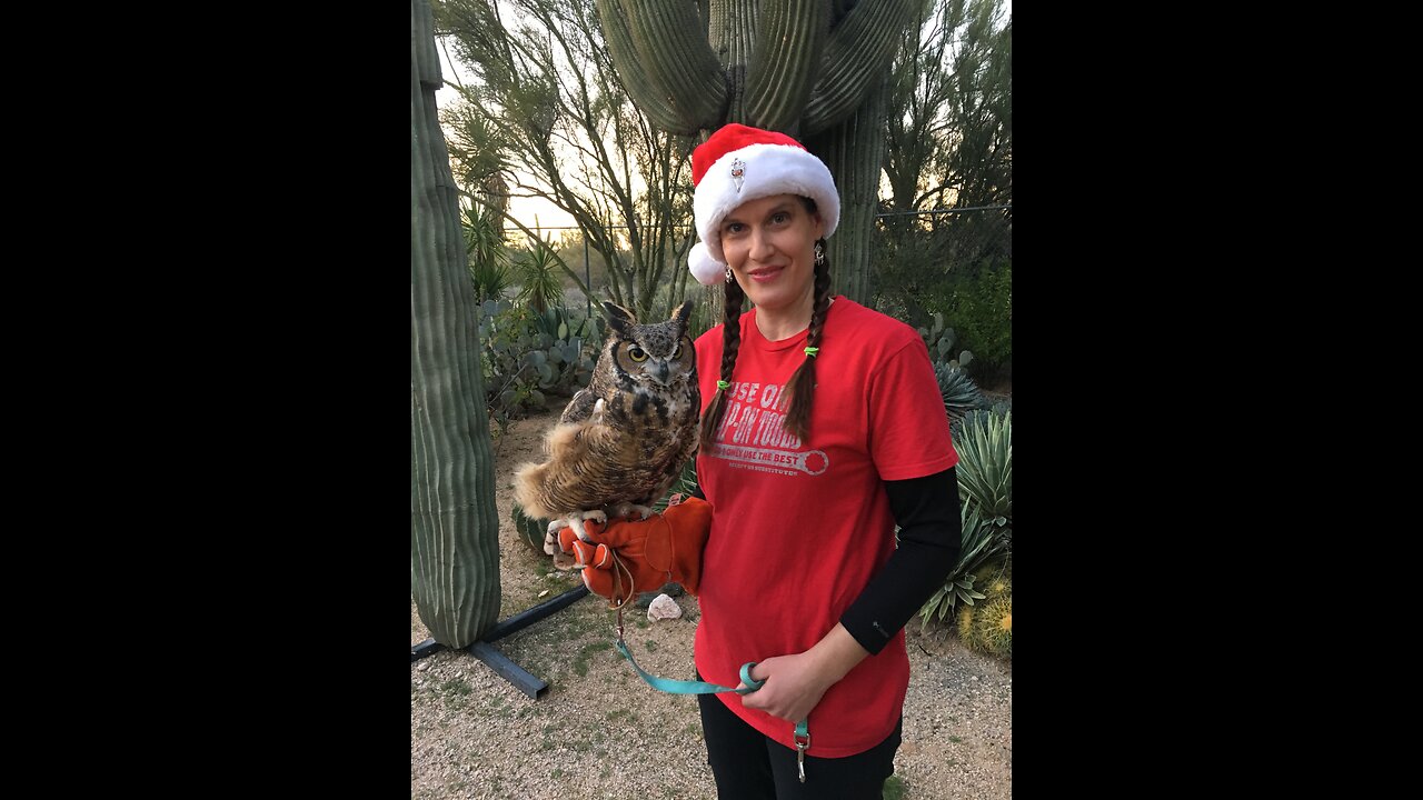 Merry Christmas from Wild at Heart Owl and Raptor Rescue