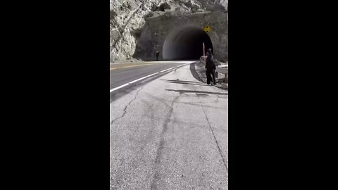 Call of Duty creator Vince Zampella has died