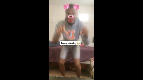 Funny pink dog 😂