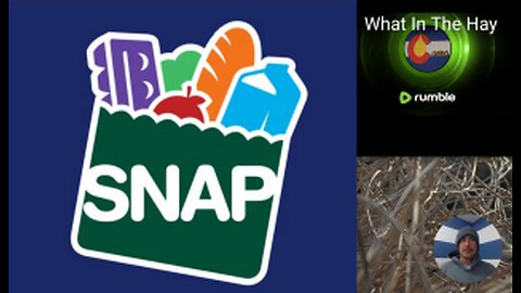 🚨STATE OF EMERGENCY DECLARED in MULTIPLE STATES🚨 over SNAP CUTS🚨