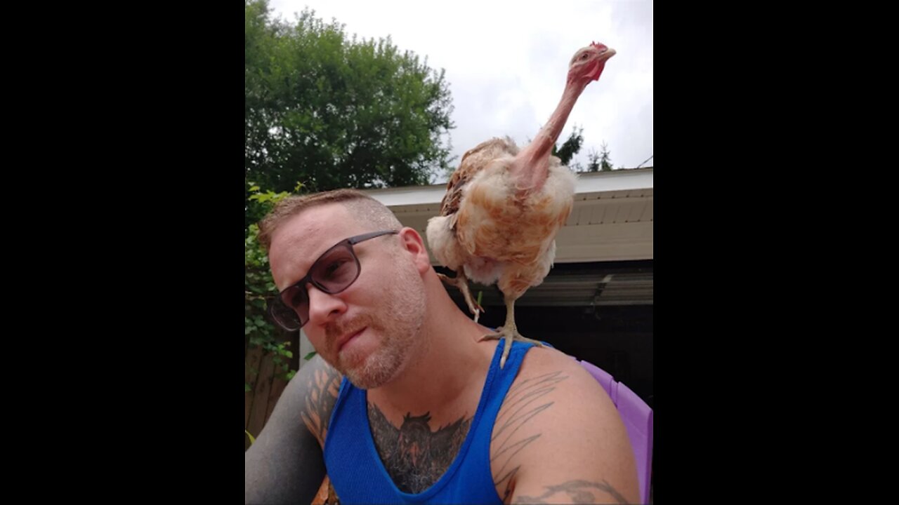 X is down, Truth Social is down, but Rumble up