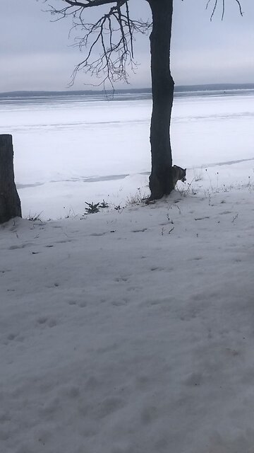 Wednesday January 7, I plead with you to give your bodies to God.