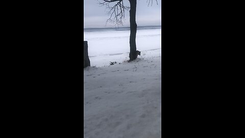 Wednesday January 7, I plead with you to give your bodies to God.