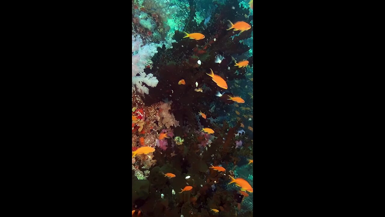 Do you like me? I never give any burden to my lady not even in her pregnancy