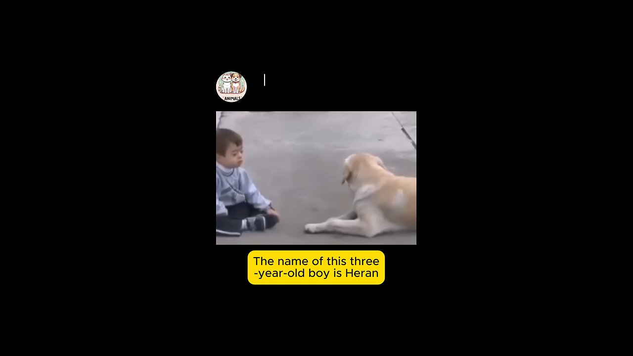 A story about a dog and a child with Down syndrome