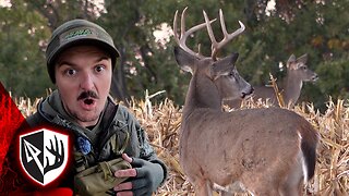 New Camera, Same Grind! Late October Whitetail Action