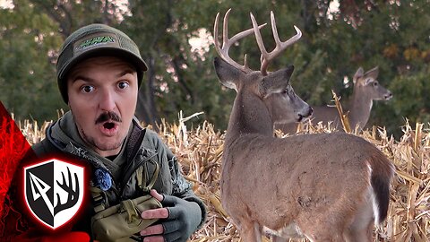 New Camera, Same Grind! Late October Whitetail Action
