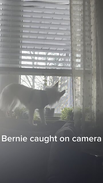 Junky Eats Soap Because He’s Poor and Starving