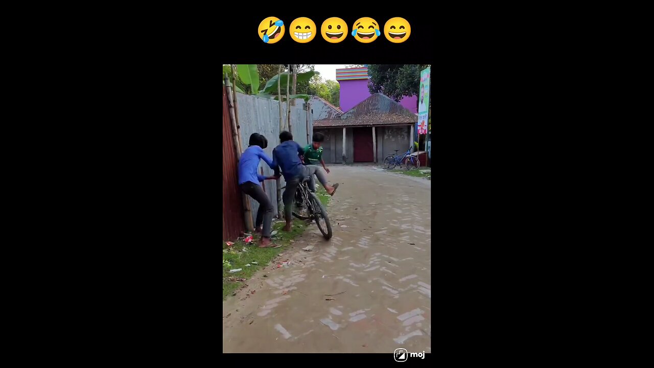 funny videos
