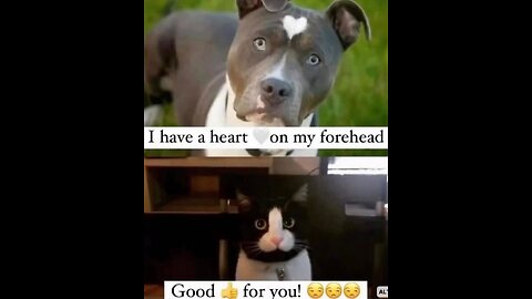 Sun makes me feel better