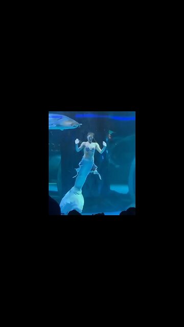 Woman Pretending To Be A Fish Nearly Becomes Fish Food