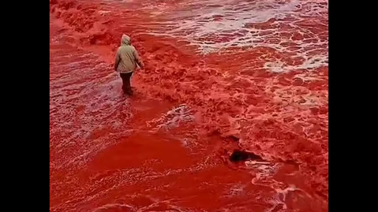 Blood rain' hits Iran: Bizarre phenomenon sees landscape washed in red by heavy downfall