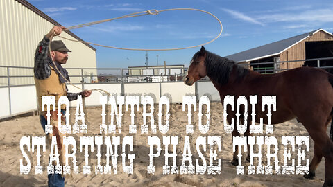 TQA Intro to Colt Starting Phase Three