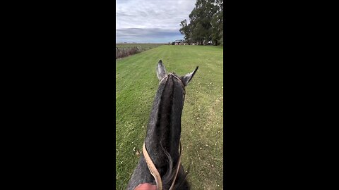 BEST RIDER😁😁😁