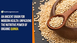 An ancient grain for modern health: Unpacking the nutritive power of Organic Quinoa