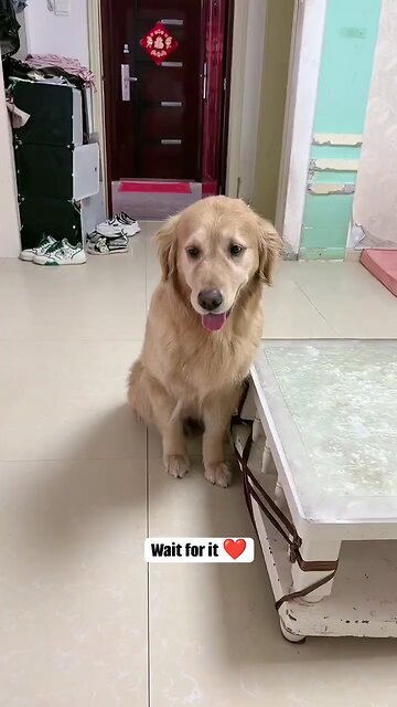 ❤❤❤LOVE ❤❤❤