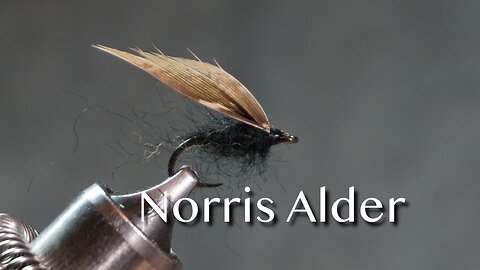 Alder as tied by Thaddeus Norris