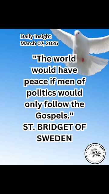 Daily Insight March 07, 2025