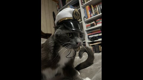 24HR Stream : JP CUSTOM ROBO N64 ENG PATCH. FINAL PART OF THE STREAM COMING UP!