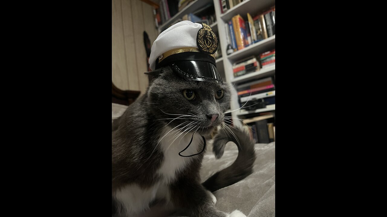 24HR Stream : JP CUSTOM ROBO N64 ENG PATCH. FINAL PART OF THE STREAM COMING UP!