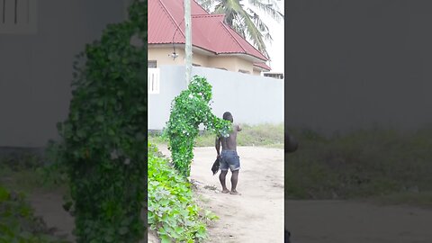 Try not to laugh😂Must watch new entertainment video