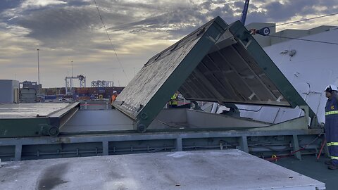NS Savannah cargo operations