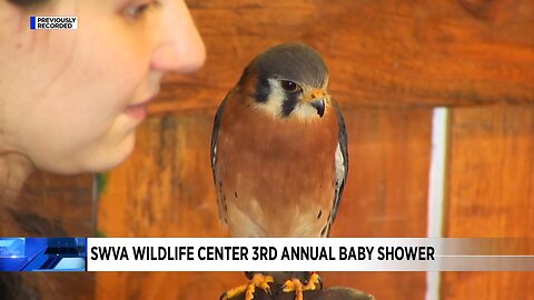 SWVA Wildlife Center hosts 3rd Annual Baby Shower