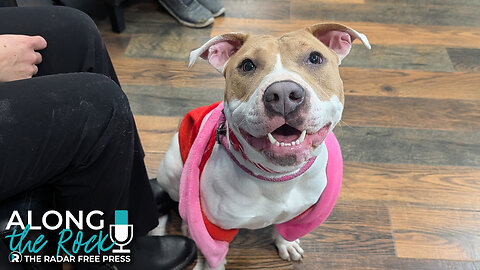Perfect in Pink! Perdita is the Perfect Girl for You!