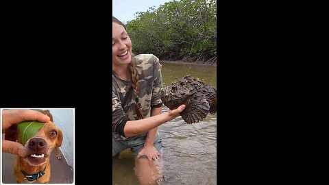 A little bit of everything series (episode 2: Animals)