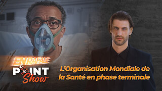 L'Organisation Mafieuse de la Santé sur le respirateur | Le Point Show En Rafale sur malibertv.tv