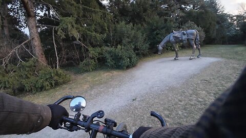 Cycling, 08.01.2026 [A] Türkenschanzpark