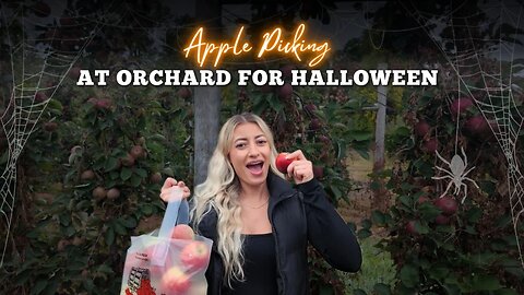 Apple Picking at Orchard for Halloween