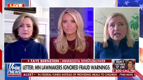 Whistleblower’s letter alleges Minnesota lawmakers ignored fraud warnings for years