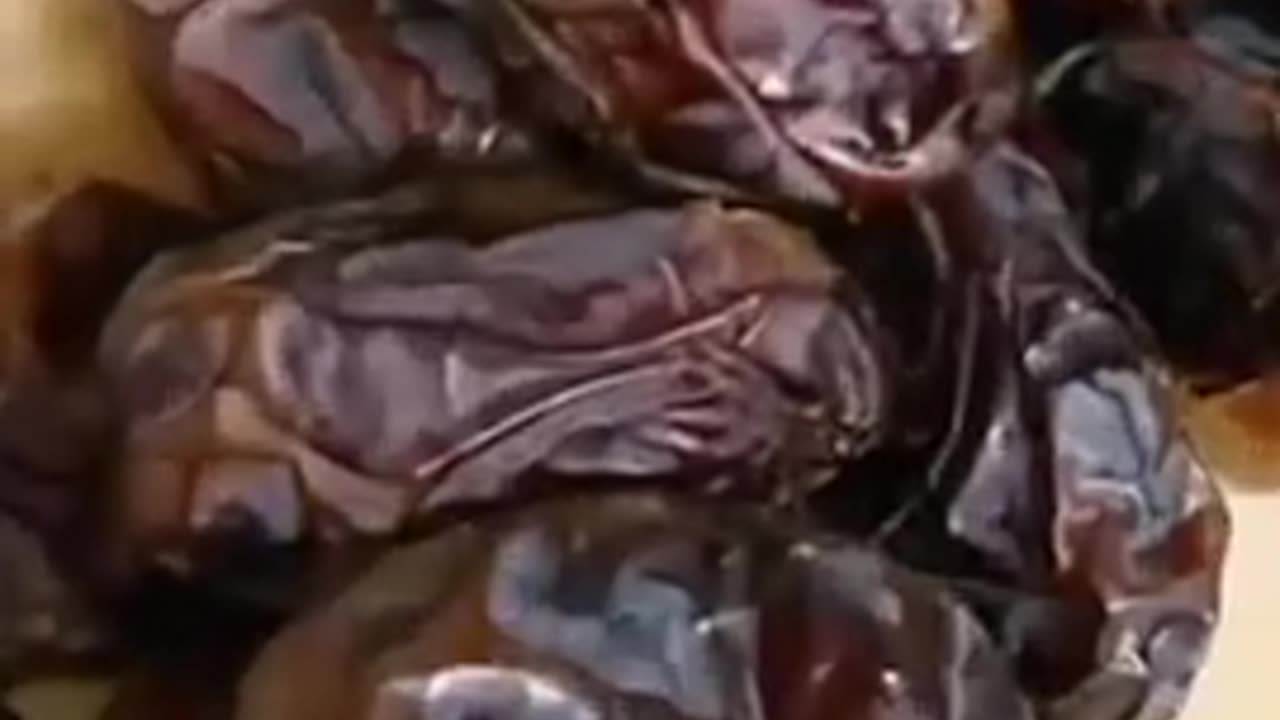 Dates are some of the best fruits in the world