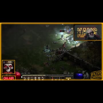 Diablo 2 Resurrected: Amy Schumer...stank