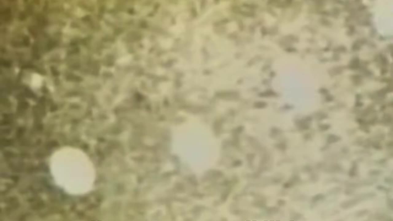 🚀👽 One of the most important and validated pieces of UFO footage! | TheTruthAbove