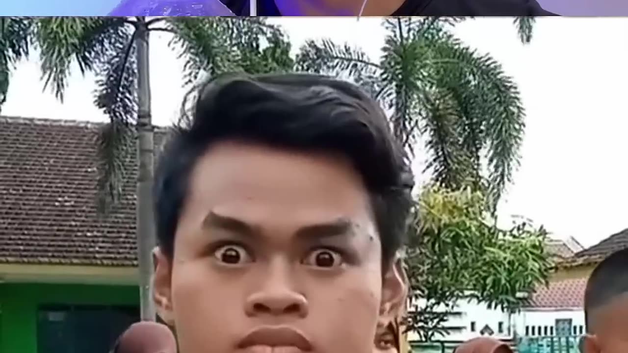 Funny videos