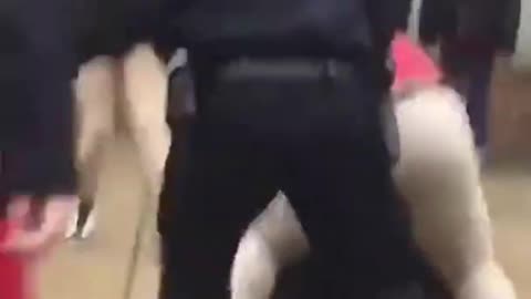 CRAZY SCHOOL FIGHT GIT DAT SHEEIT