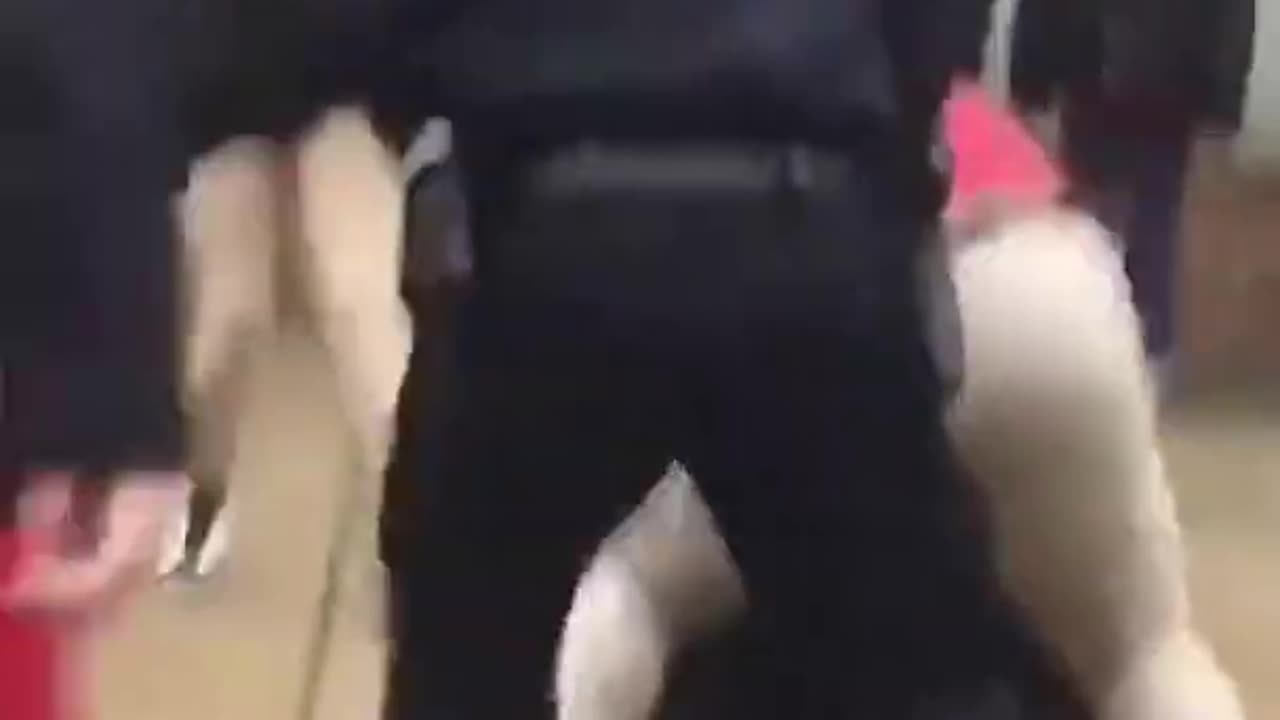 CRAZY SCHOOL FIGHT GIT DAT SHEEIT