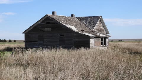 Photo fun on October 4, 2025