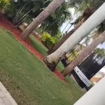 Human Trafficking Fighting Boots on The Ground