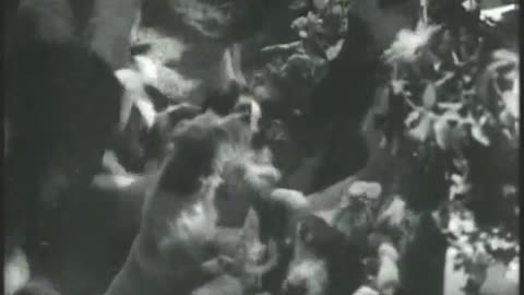 Storm In A Teacup (1937) Romantic Comedy Full Movie