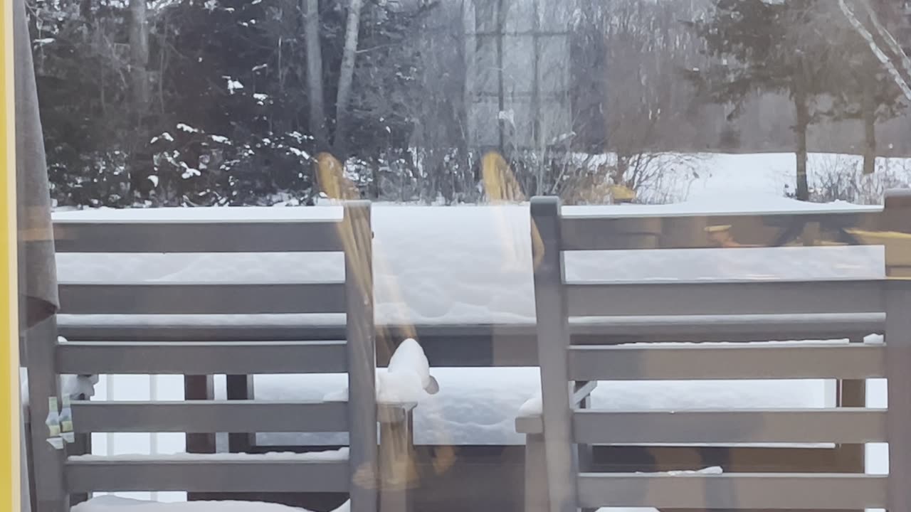 Damaged by false teaching