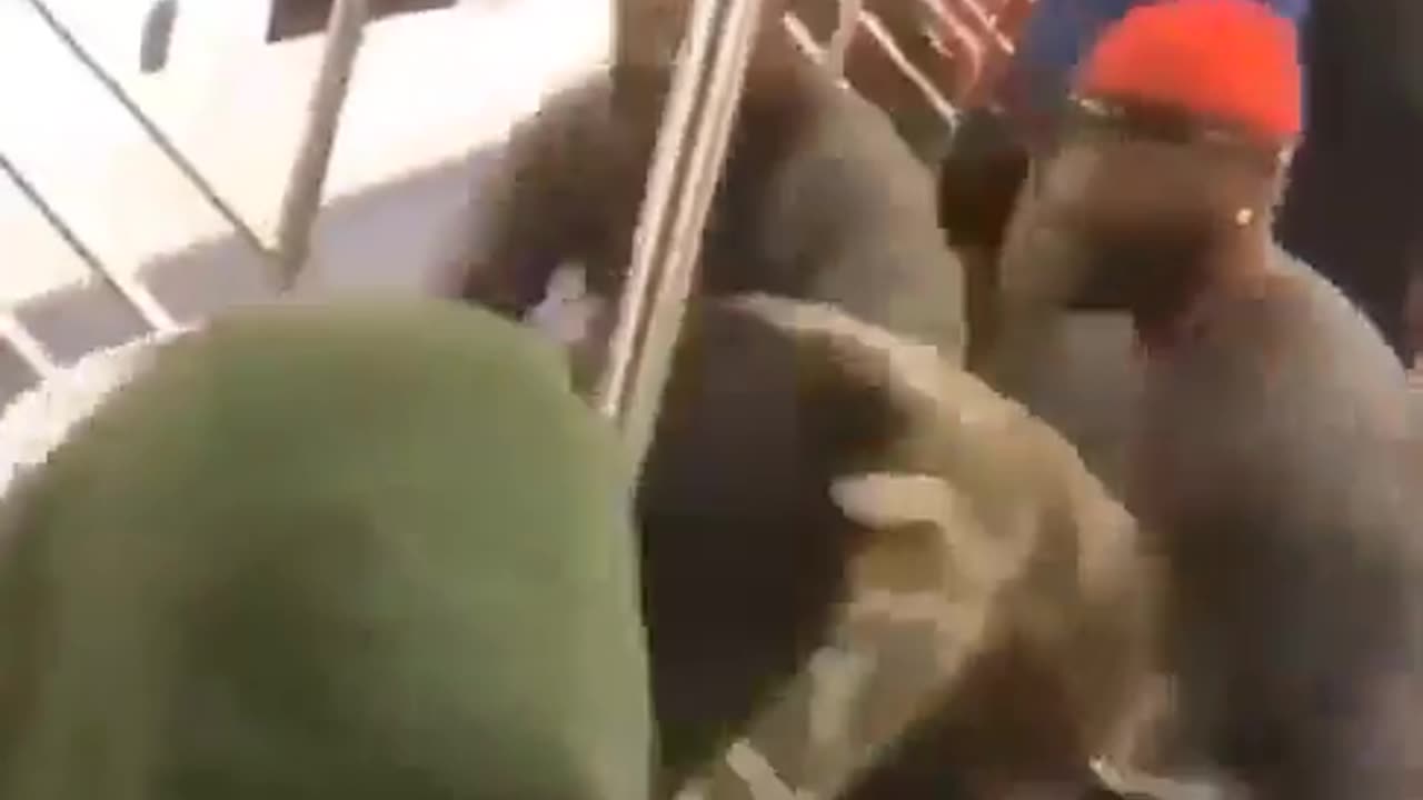 Diversity attacks White child