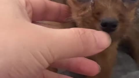 Nenem resgatado na rua