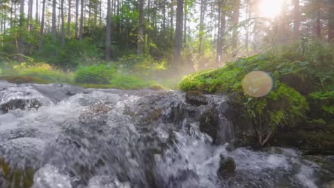 Echo Sleep – resting in the sound of night.