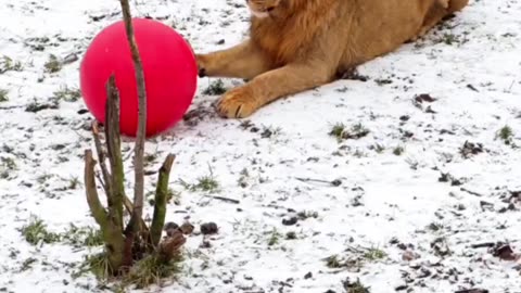 Training for the World Cup 😊👍