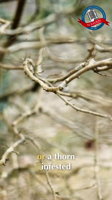 Fasting's REAL Reason #ramadan #taqwa #shorts