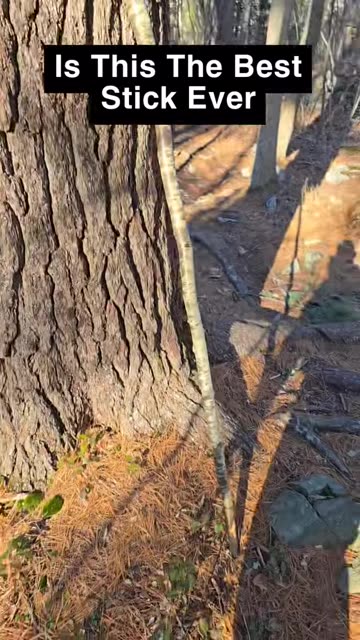 I Get Alot Of Compliments On My Stick